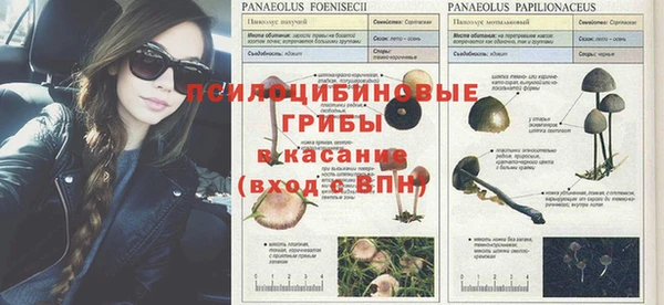 ALPHA-PVP Алексин