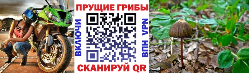 Галлюциногенные грибы мухоморы blacksprut tor Тейково